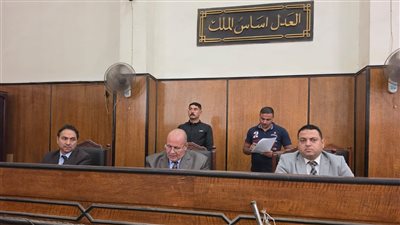 الإعدام شنقًا لمهندس قتل شقيقه بسبب خلافات الميراث في الشرقية