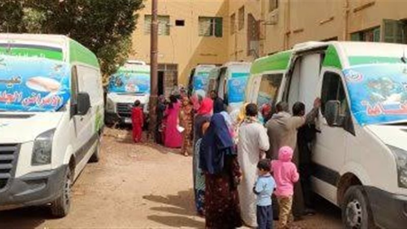 صحة المنيا 