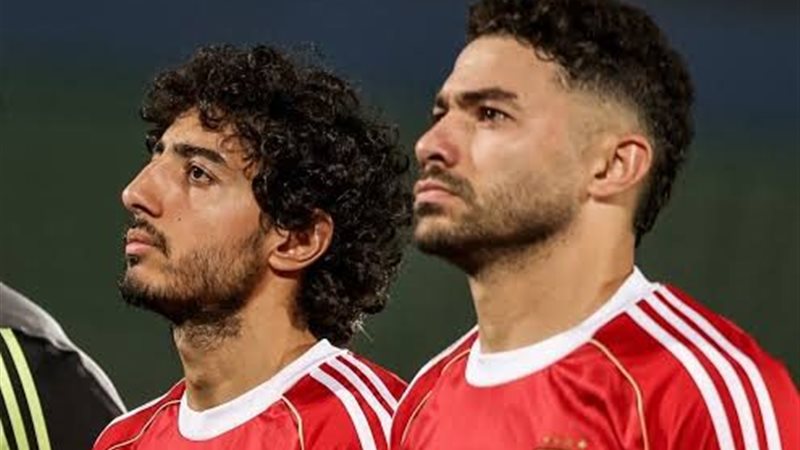تفصيلة