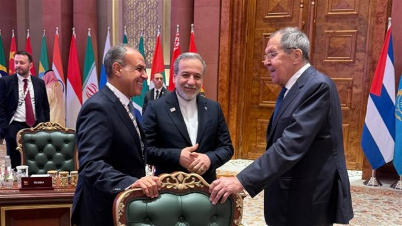 وزير الخارجية المصري