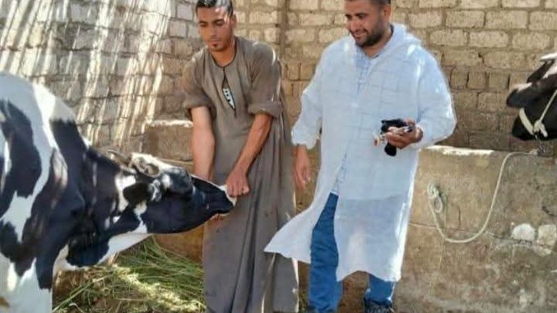 بيطري المنيا