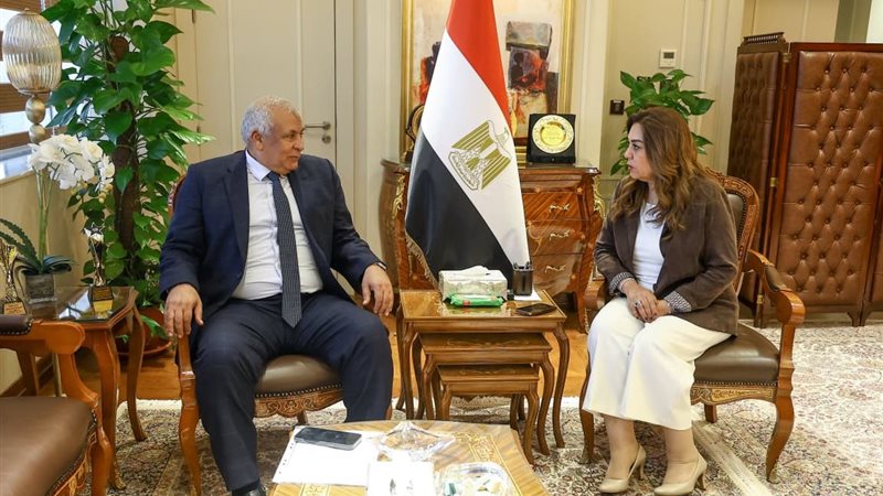 وزارة التنمية المحلية